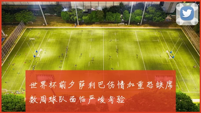 世界杯前夕萨利巴伤情加重恐缺席数周球队面临严峻考验