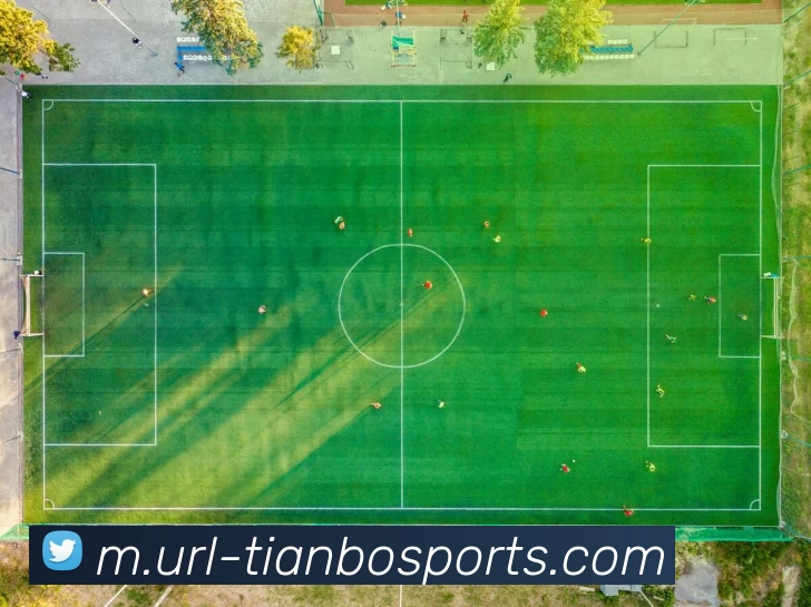 天博体育平台生态图