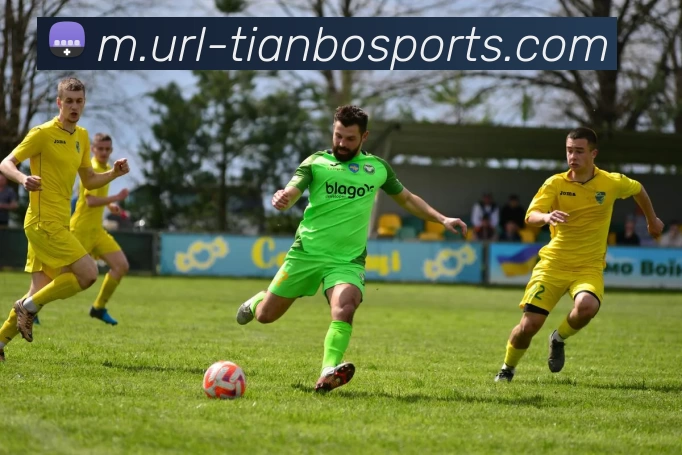 天博体育APP 封面图