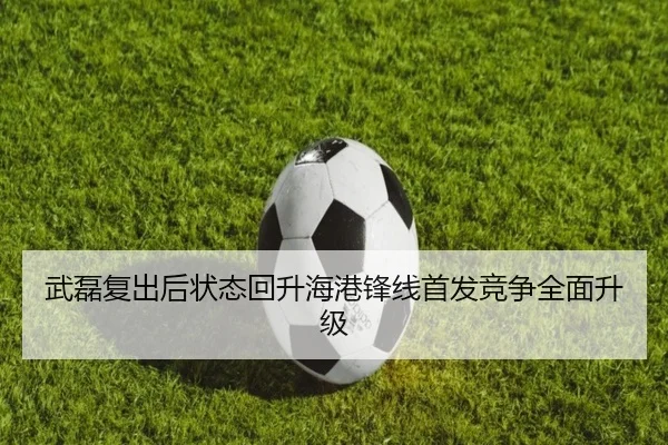 武磊复出后状态回升海港锋线首发竞争全面升级 | TIANBOSPORTS